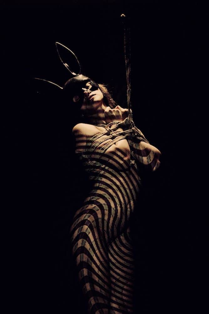 Shibari Crazy Year — Janvier, tableau 1 sur 12