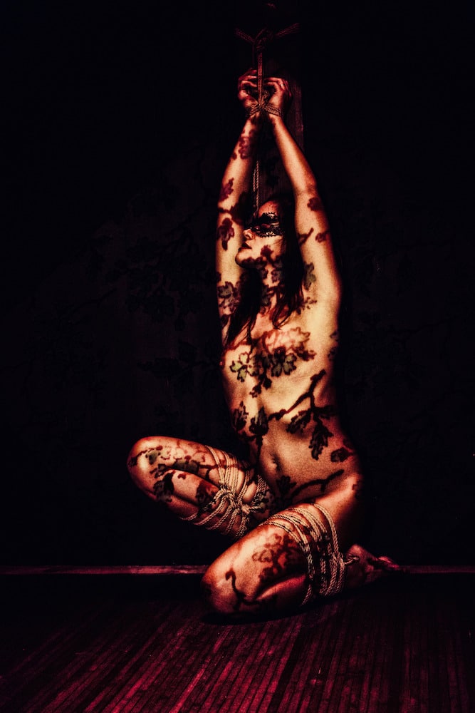 Shibari Crazy Year — Mars, tableau 3 sur 12
