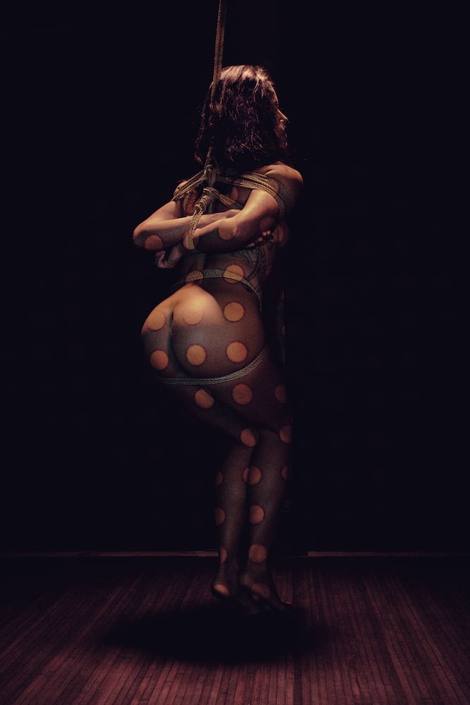 Shibari Crazy Year — Mai, tableau 5 sur 12