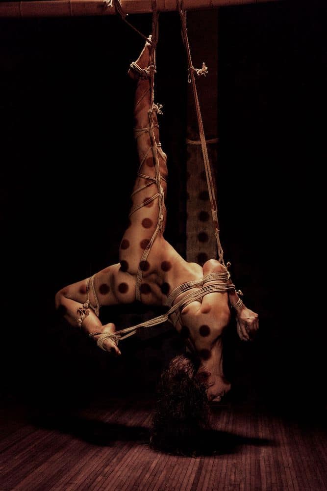 Shibari Crazy Year — Juillet, tableau 7 sur 12