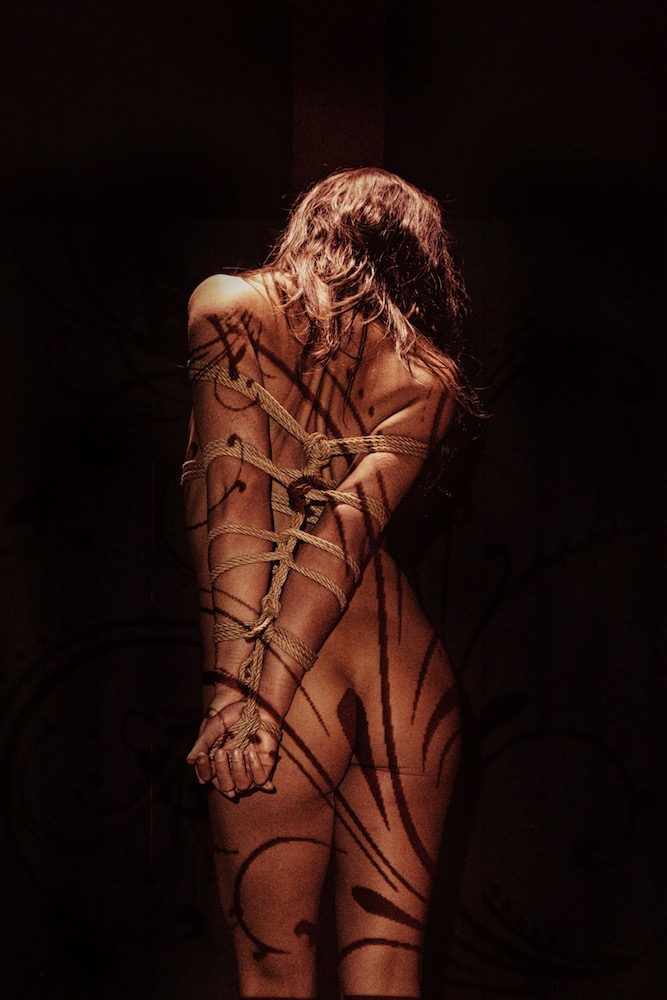 Shibari Crazy Year — Août, tableau 8 sur 12