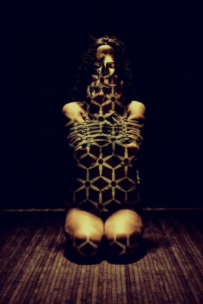 Shibari Crazy Year — Décembre, tableau 12 sur 12